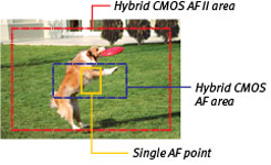 Canon EOS 100D 18-55mm DC Lens DSLR Fotoğraf Makinesi