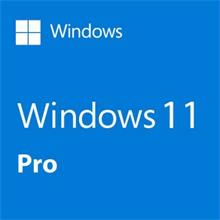 Microsoft Windows 11 Pro HAV-00159 64 Bit Türkçe Kutulu İşletim Sistemi