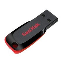 Sandisk 32Gb Usb SDCZ50-032G-B35 Cruzer Blade