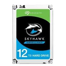Seagate 12TB SkyHawk 3.5