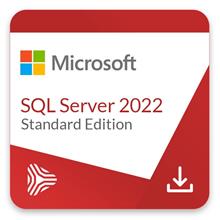 Microsoft Windows SQL Server 2022 Standard Edition Perpetual 1 Server