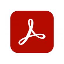 Adobe Acrobat Pro for teams 65304521CA02A12 Level 2 10 – 49    1 yıllık