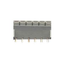 IC-ITBGSW 06 KLEMENS, 6LI PAPUCLU 45D