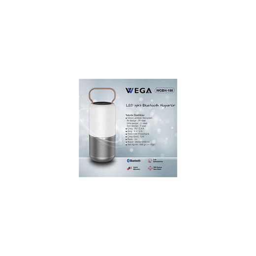 Wega Wireless Speaker Bottle Design - Wgbh-100