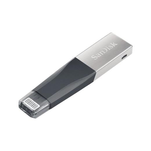 Apple 256GB USB   Sandisk SDIX40N-256G-GN6NE mini iXPAND 256GB