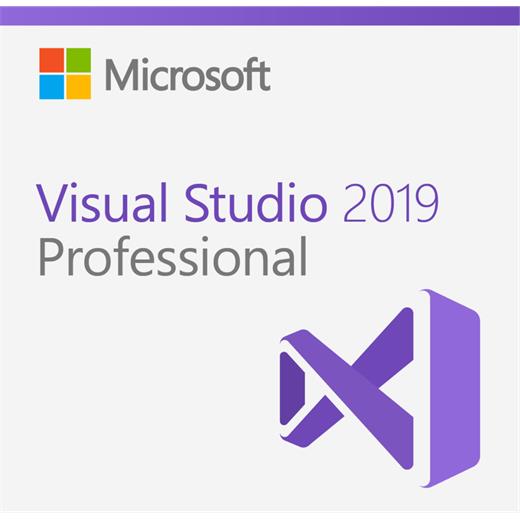Microsoft C5E-01380 Microsoft Visual Studio 2019 Professional Open Lisans