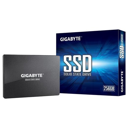 Gigabyte 256Gb 520-500Mb/S Flash Ssd Gstfs31256Gtnd