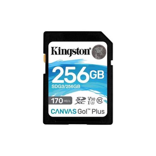 Kingston 256 GB SD SDG3/256GB Canvas Go+ Cl10