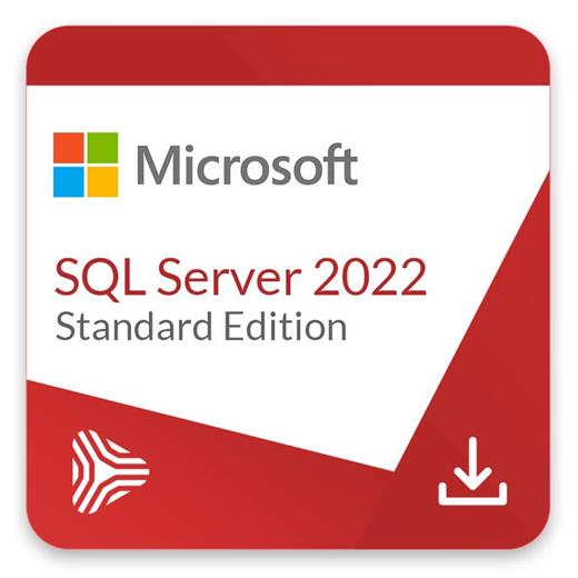 Microsoft Windows SQL Server 2022 Standard Edition Perpetual 1 Server
