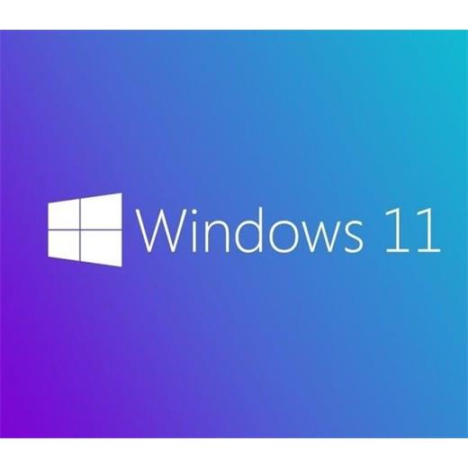 Ms Wındows 11 Pro 64 Bıt Ingılızce Oem FQC-10528