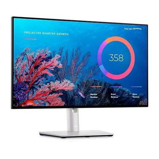 Dell 24