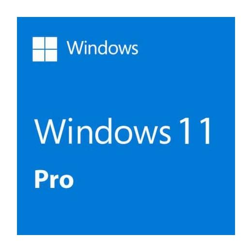 Microsoft Windows 11 Pro HAV-00159 64 Bit Türkçe Kutulu İşletim Sistemi