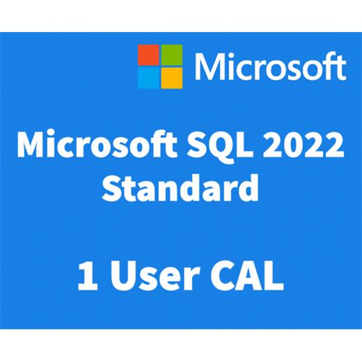 Microsoft SQL Server 2022 - 1 User CAL