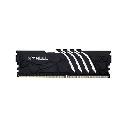HI-LEVEL 8GB  DDR5 5600MHz HLV-PC44800D5-8G-B CL46 1.1V BLACK SOĞUTUCULU