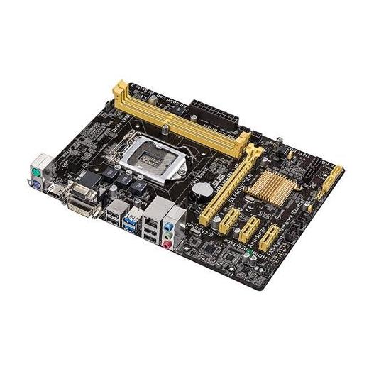 Asus H81M-Plus 1150 Vga Dvi Hdmi