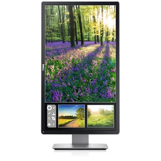 DELL Professional P2414H, 24