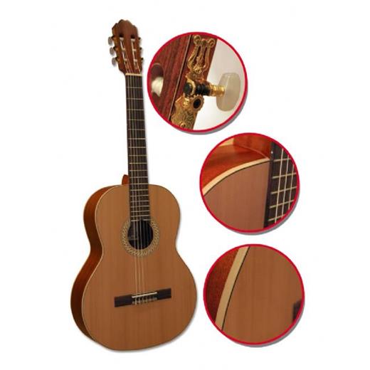 Gitar Klasik RC744MN