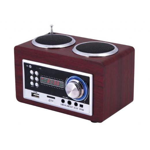 Goldmaster SR-122 Taşınabilir Hoparlörlü Radyolu Oynatıcı