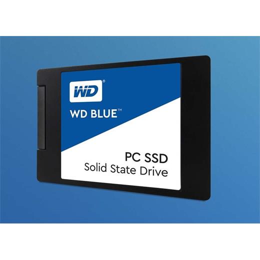 Wd Blue 250Gb Ssd 2.5