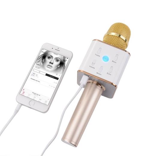 Wega KRK-01 Karaoke Kablosuz Mikrofon