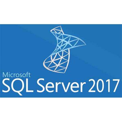 Microsoft 228-11135 SQL 2017 Std. Open Lisans