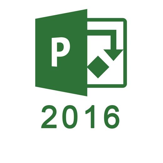 Microsoft Project 2019 SNGL OLP NL 076-05829