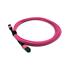 Beek Bc-Fo-5Mpmpb-03/4-Ff Mpo (Dişi) Mpo (Dişi) Om4 12 Core Lszh 3.0 Type B 3 Metre