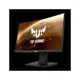 Asus 23.6