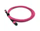 Beek Bc-Fo-5Mpmpb-03/4-Ff Mpo (Dişi) Mpo (Dişi) Om4 12 Core Lszh 3.0 Type B 3 Metre