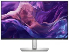 Dell P2425H 24