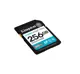 Kingston 256GB SD Canvas Go+ SDG4/256GB