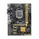 Asus H81M-Plus 1150 Vga Dvi Hdmi