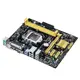 Asus H81M-D DDR3 UATX Sata6 Usb3 Anakart
