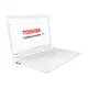 Toshiba Nb Satellıte C55-C-11J  Notebook
