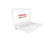 Toshiba Satellite C55-C-19C Notebook