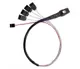 SilverStone CPS03 1xMini SAS SSF-8087 36Pin - 4x SATA 7Pin 50cm Dahili Kablo