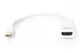 AK-340404-001-W Mini DisplayPort (DP) <-> Hdmi Adaptör Kablosu, mini DP Erkek - Hdmi tip A Dişi, 0.15 metre, DP 1.1a uyumlu, UL, beyaz renk