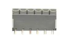 IC-ITBGSW 06 KLEMENS, 6LI PAPUCLU 45D