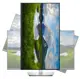 DELL 31.5