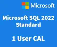 Microsoft SQL Server 2022 - 1 User CAL