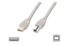 AK-300105-018-E USB 2.0 Bağlantı Kablosu, USB A Erkek - USB B Erkek, 1.8 metre, AWG 28, USB 2.0 uyumlu, UL, bej renk