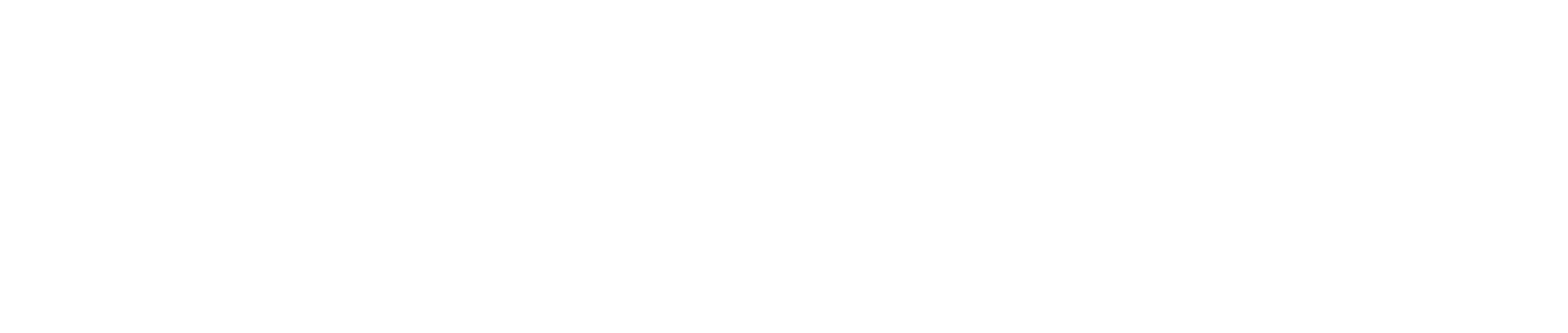MAXSUN